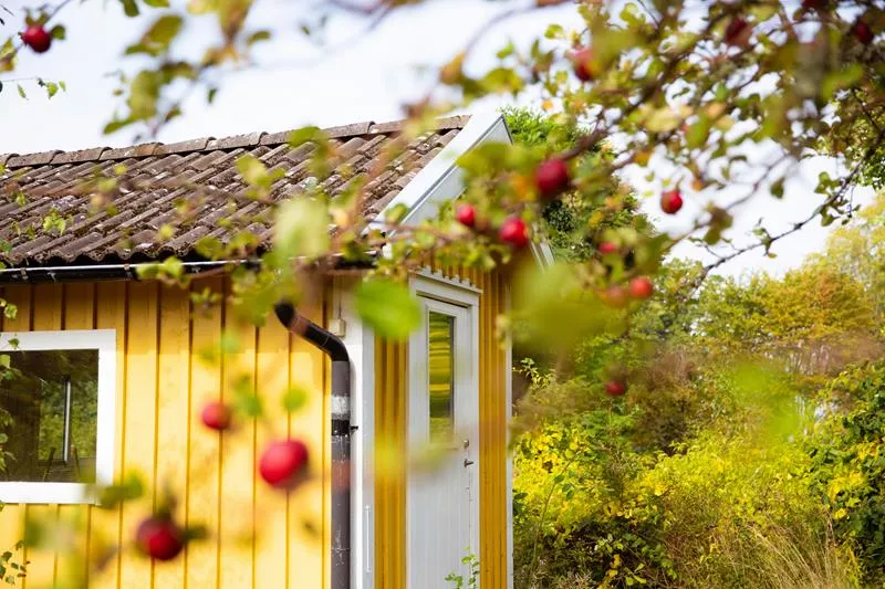 Hur bygger man en enkel förrådsdörr