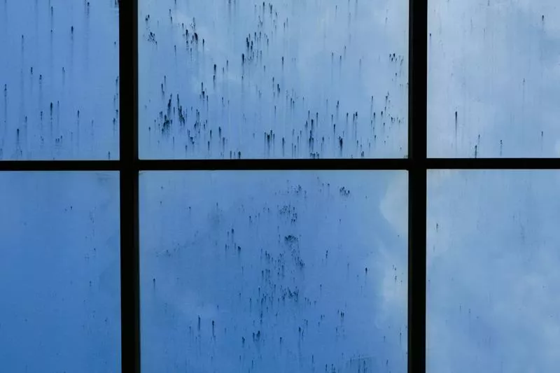 Hur torkar man fönster?