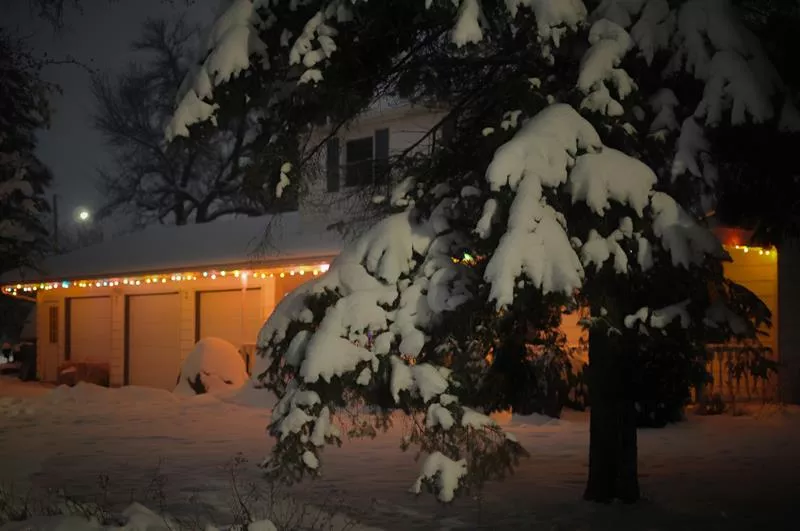 Hur undviker man att garageporten fryser fast?