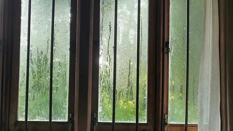 Hur undviker man insekter när man har öppet fönster?