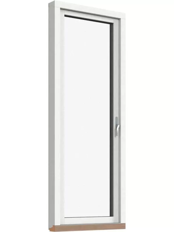 Fönsterdörr, helglasad